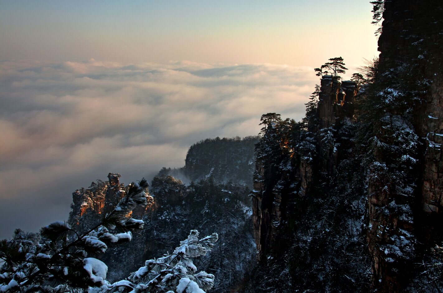 天子山晨韻